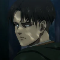 Levi