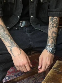 Novara Everest