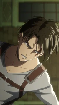 Levi Ackerman 