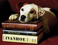 Wishbone 