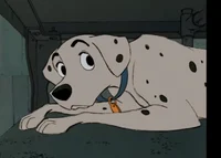 perdita2