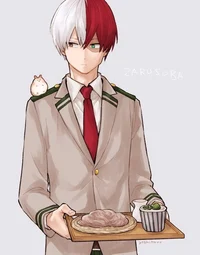 Shoto Todoroki 