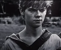 01 newt - tmr 