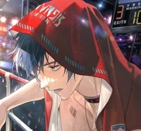 Ashton - Boxer - MLA