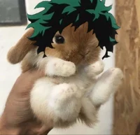 bunny Izuku