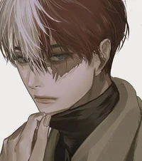 Shoto todoroki 