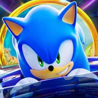 Sonic the hedgehog 
