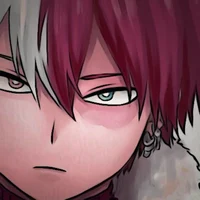 Shoto Todoroki 
