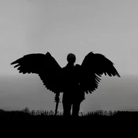 TRAPPED - Alwin
