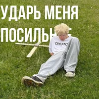 степа флейс