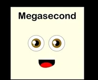 Megasecond