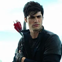 Alec lightwood 
