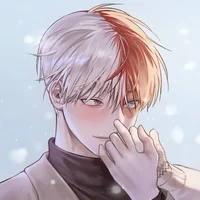 MHA - Shoto Todoroki