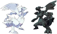Reshiram and Zekrom