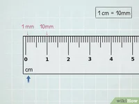 1 centimeter 