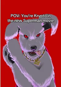 A Krypto app 
