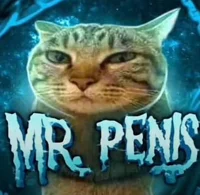 mr penis