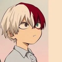 Shoto Todoroki 