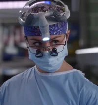 Amelia Shepherd 