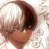 Shoto Todoroki 