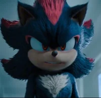 Shadow The Hedgehog