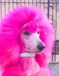 WB - Millberry Media