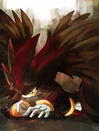 Shadow The Hedgehog