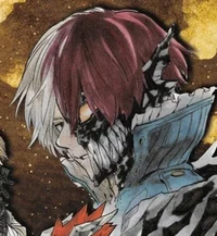 Shoto todoroki 
