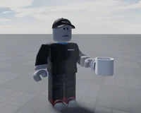 Roblox the owner