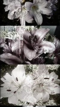 Кантрихуманс 