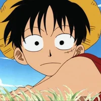 Monkey D Luffy