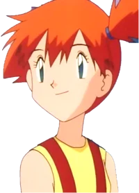 Misty the trainer