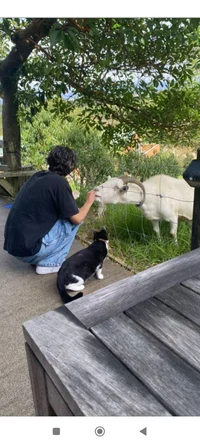 Village boyxCity boy