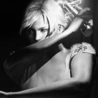 sherry birkin