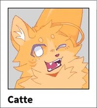 Catte - KP