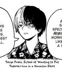 Shoto Todoroki 