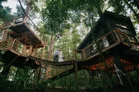 Tree house adventure
