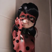 Ladybug