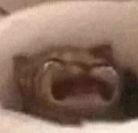 姜禮侑