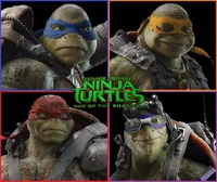 TMNT Bayverse