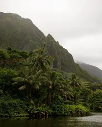 RPG The Islands