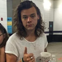 harry styles - 2015