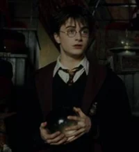 H Potter
