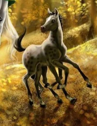 Sleipnir2