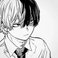 Shoto Todoroki 