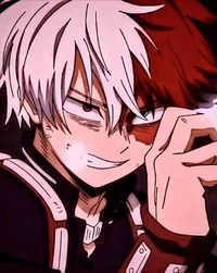 Shoto Todoroki 