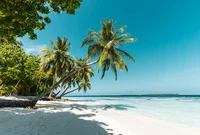 Island Wed Enid Agne