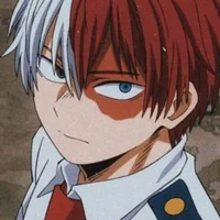 Shoto Todoroki 