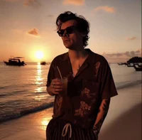 Harry Styles - AU