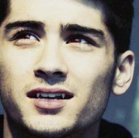 Zayn Malik - au